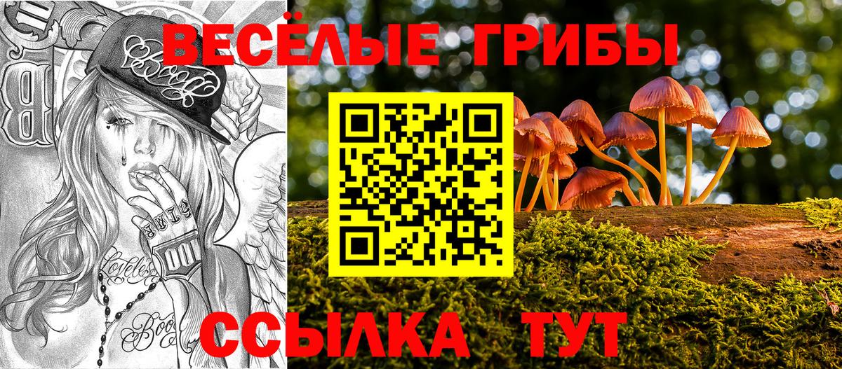 Галлюциногенные грибы мицелий Кстово